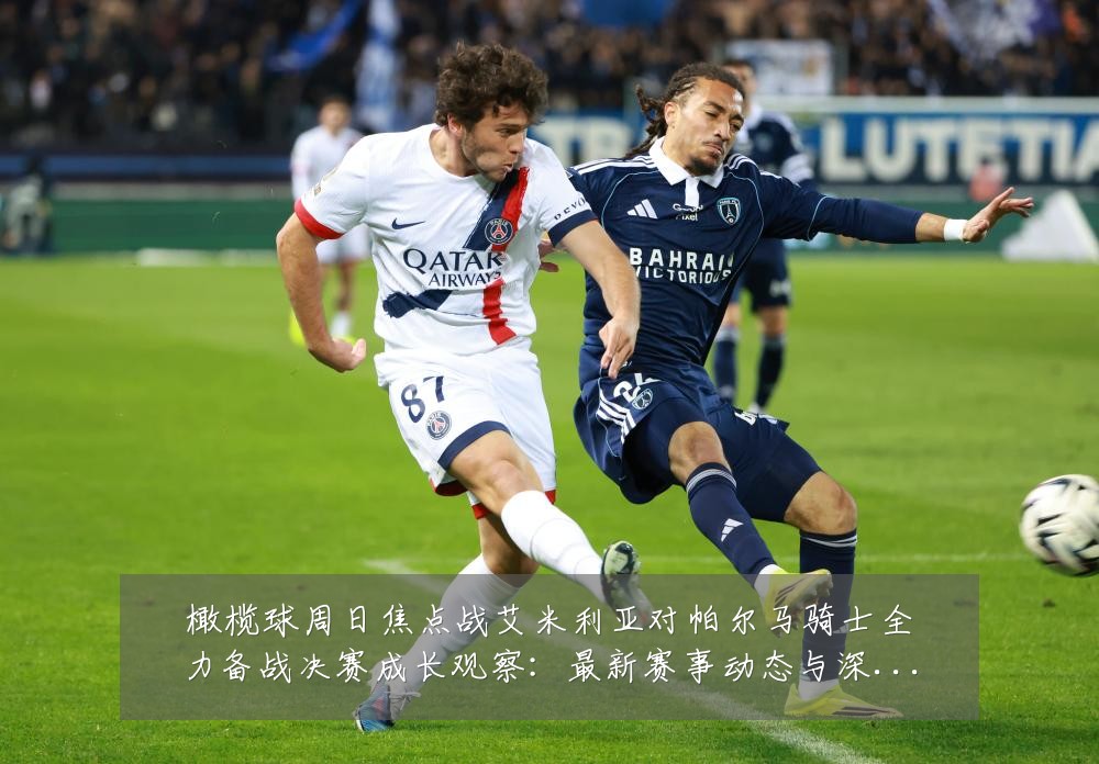 橄榄球周日焦点战艾米利亚对帕尔马骑士全力备战决赛成长观察:最新赛事动态与深度分析